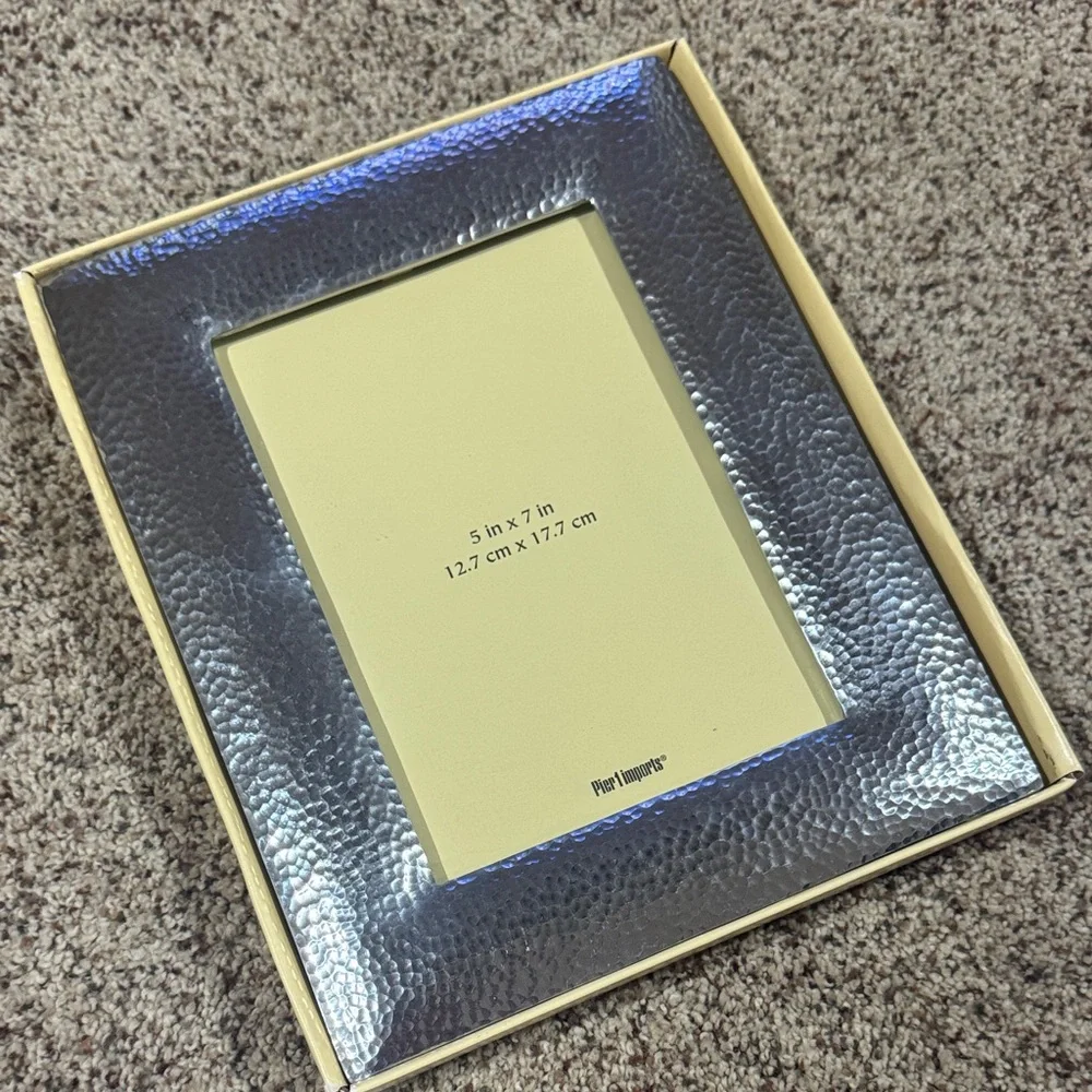 Pier 1 imports Silver Frame